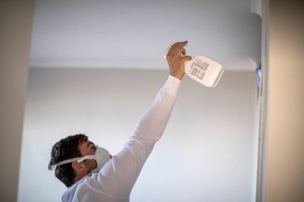 Best Emergency Mold Remediation in Goulding, FL