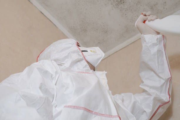 Best HVAC Mold Remediation in Goulding, FL